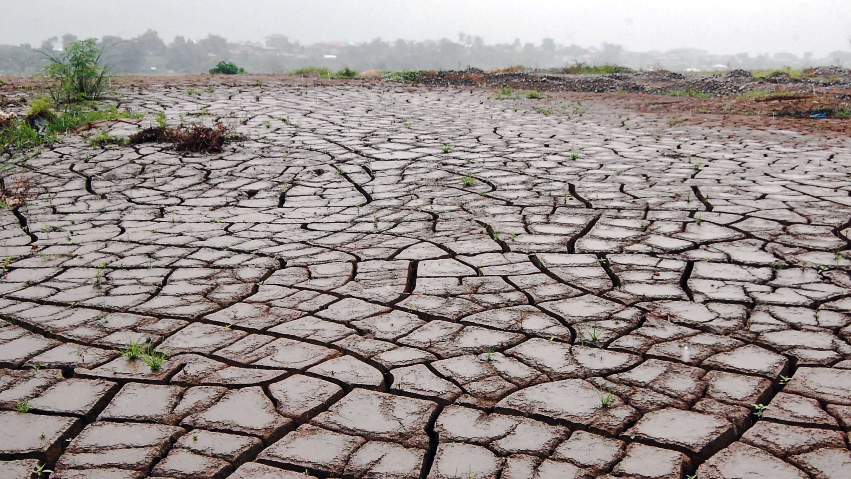 Super El Niño Diprediksi Menguat, Apa Dampaknya bagi Bumi Kita?
